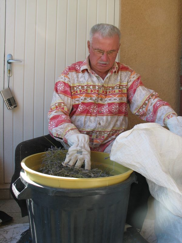 Sirop Sous le soleil La Fraîcheur Bio – Image 11