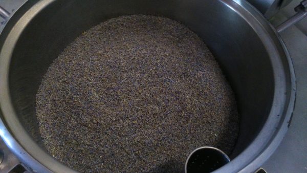 Sirop de lavande fine Bio – Image 7